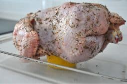 Pollo colocado para asar en el horno