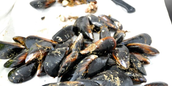 Limpiar mejillones